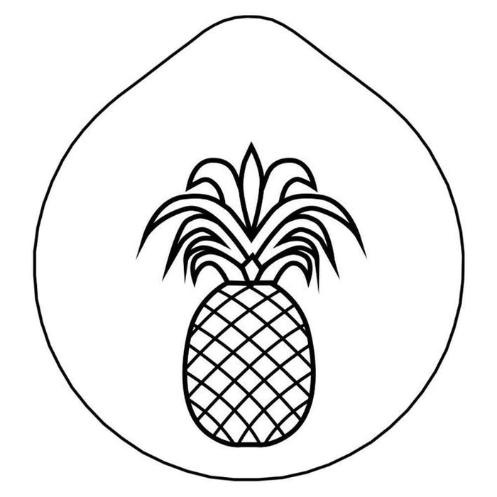 FRILICH CARAFINE/CONNECT 'Laserbeschriftung' Ananas auf Edelstahldeckel