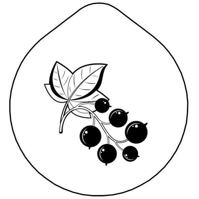 FRILICH CARAFINE/CONNECT 'Laserbeschriftung' Johannisb. a.Edelstahldeckel